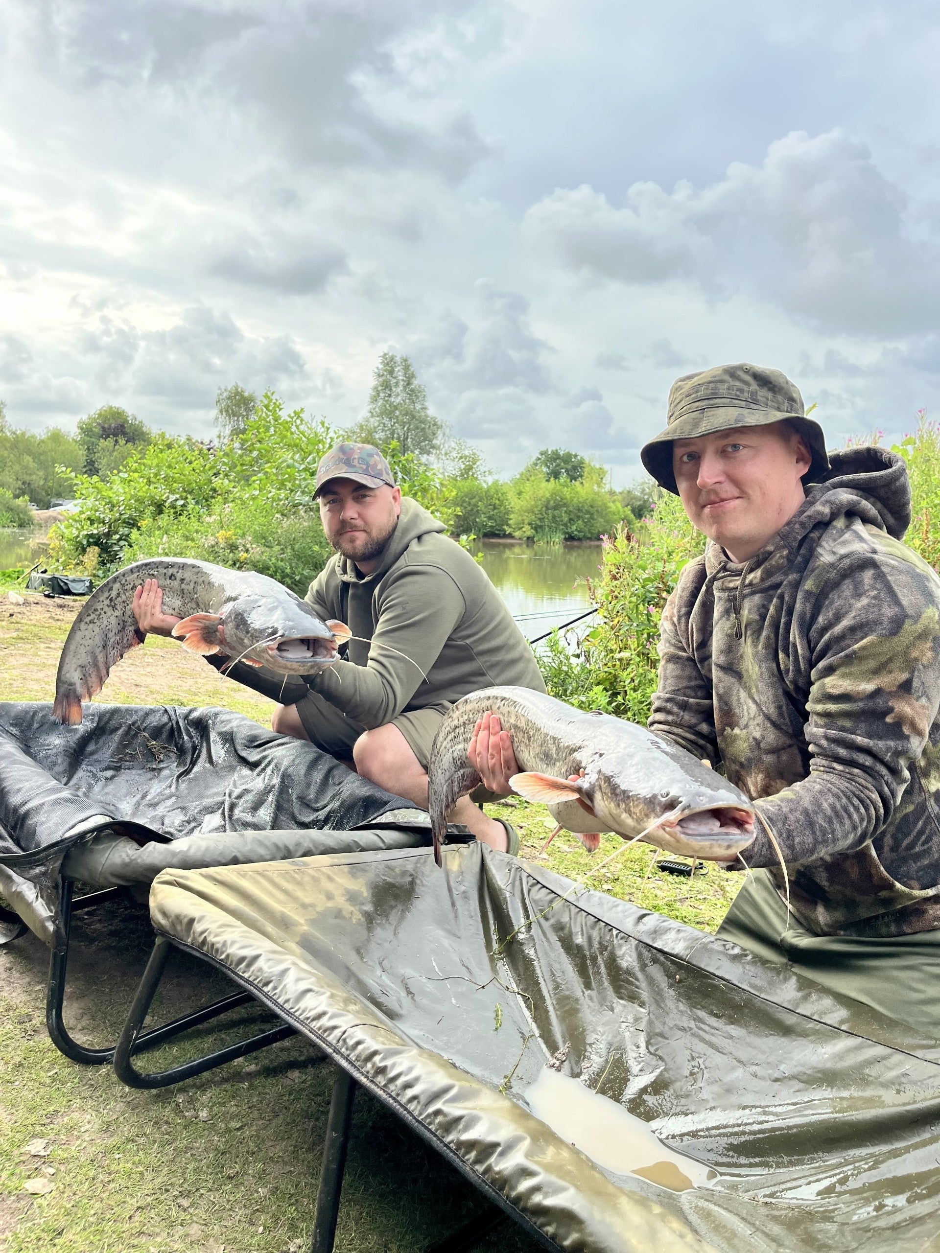 Catfish Catastrophe!
