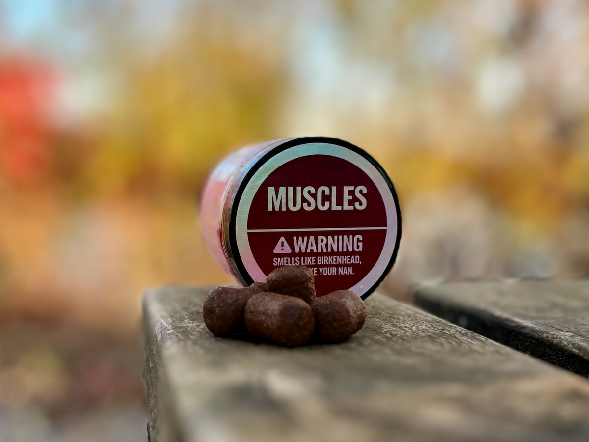 Muscles Wafters