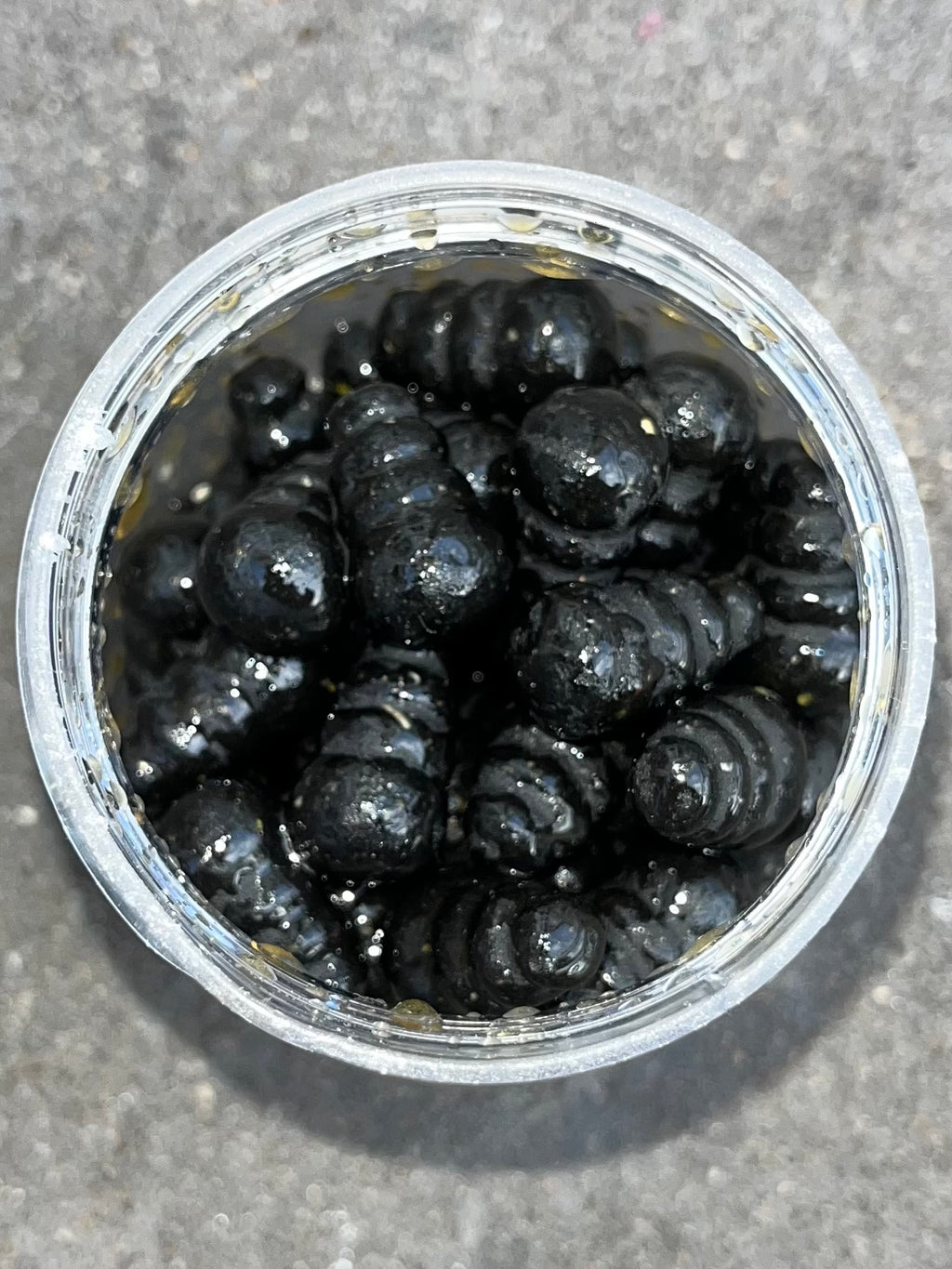 The Boogeyman - Snail Shell Wafters