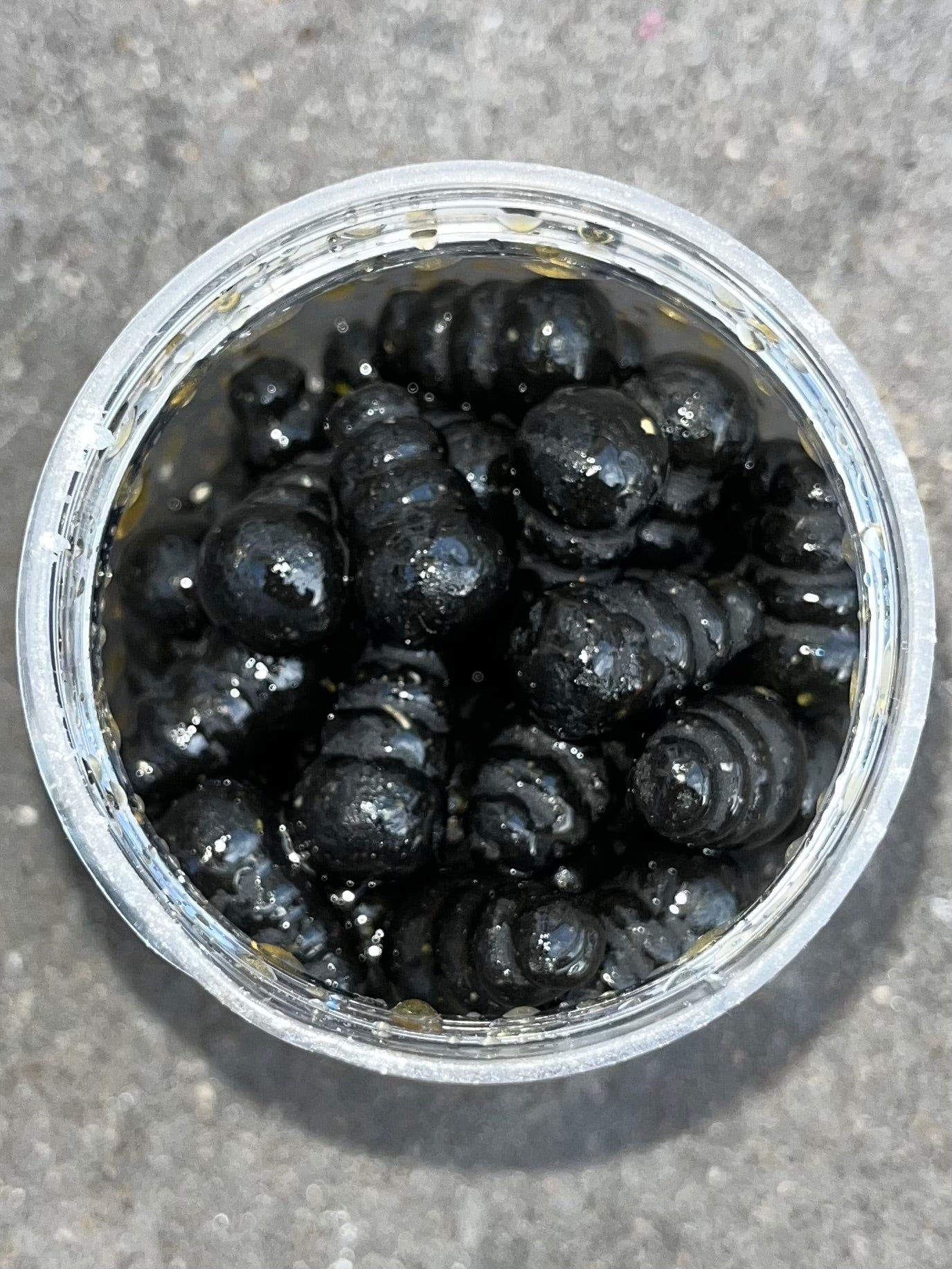 The Boogeyman - Snail Shell Wafters
