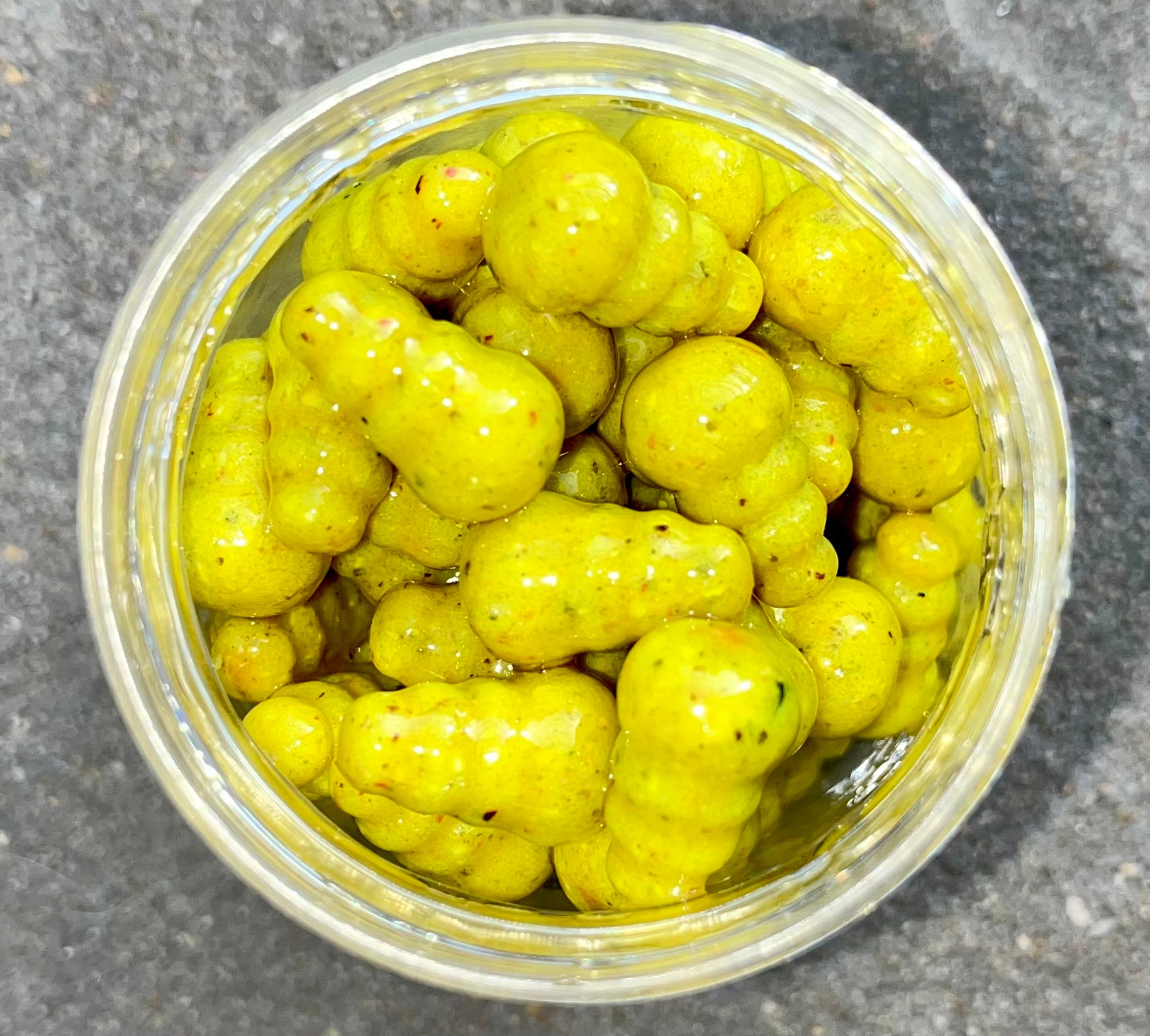 The Squeeze - Snail Shell Wafters