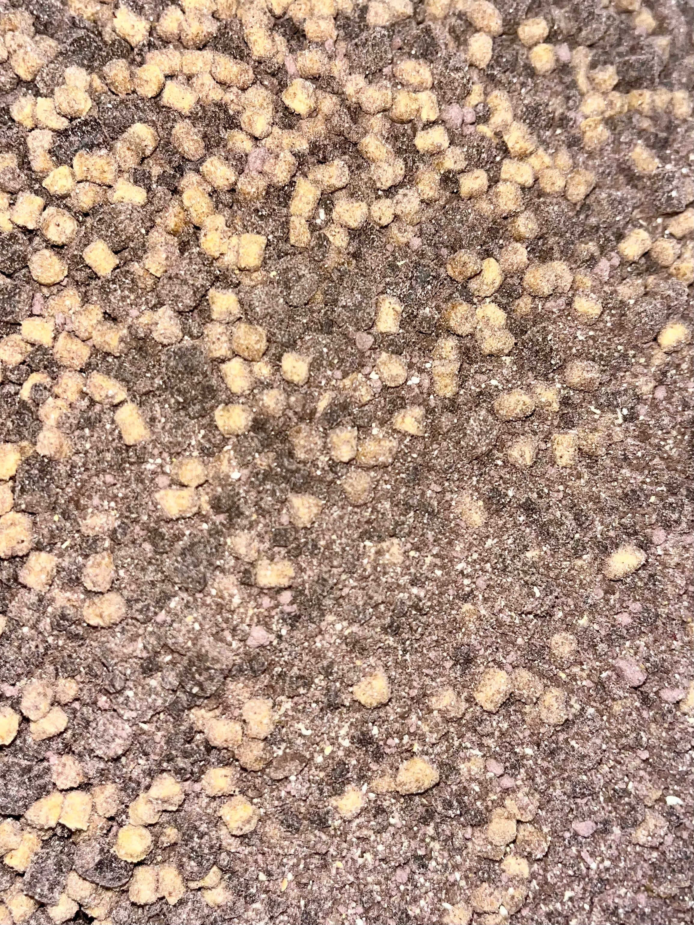 Micro Pellet Mix / BOOSTED